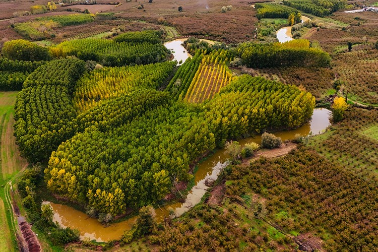 Büyük Melen havzası sonbaharın tonlarıyla renklendi