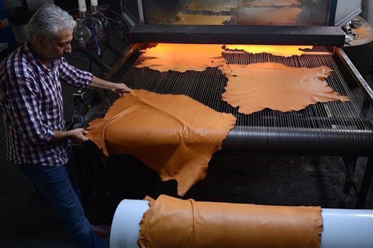 "Her yıl 60 milyon hayvan derisine ihtiyaç duyuyoruz"