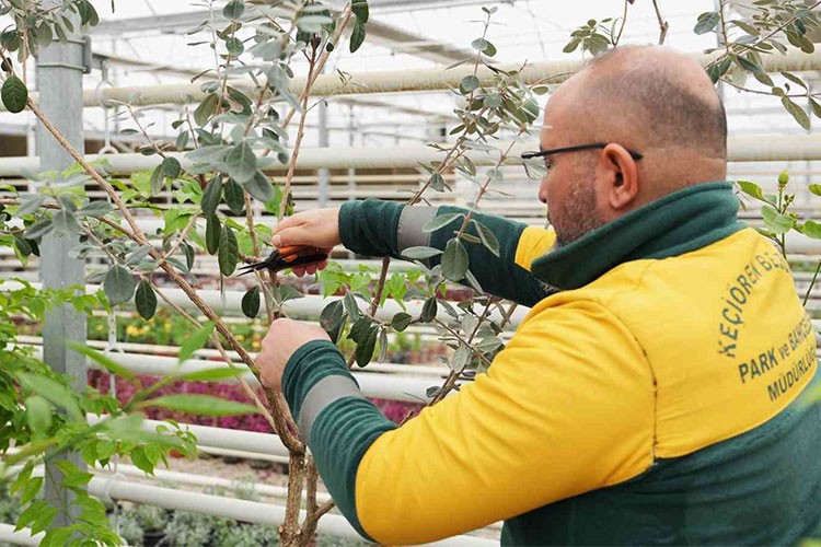 Keçiören Belediyesi'nden tarımsal eğitim