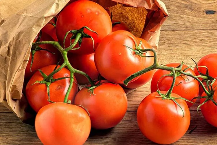 Geçen yıl 401 milyon dolarlık domates ihraç edildi