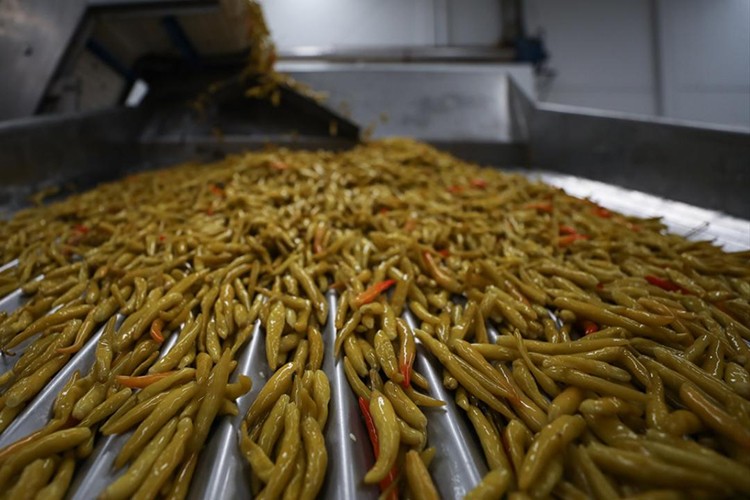 Turşu ihracatının büyük kısmı Ege'den yapıldı