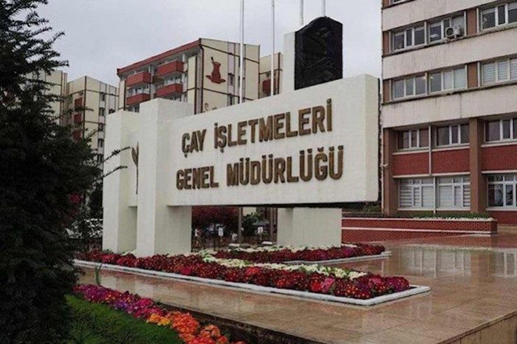 ÇAYKUR'dan üreticilere "hasat için acele etmeyin" uyarısı