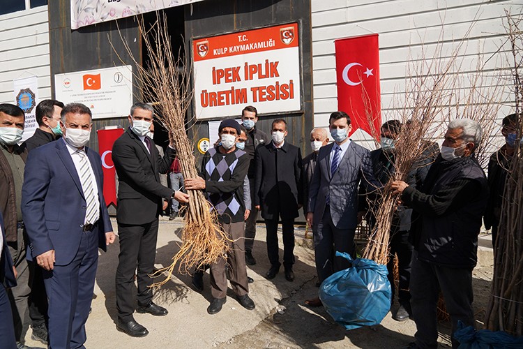 İpekböceği üretimi şaha kalkacak