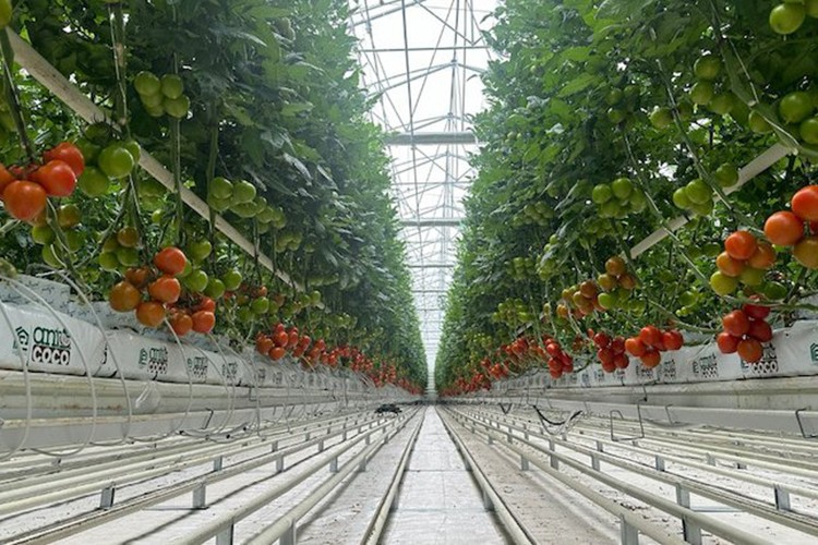 Kartur Eskişehir'de jeotermal arayacak