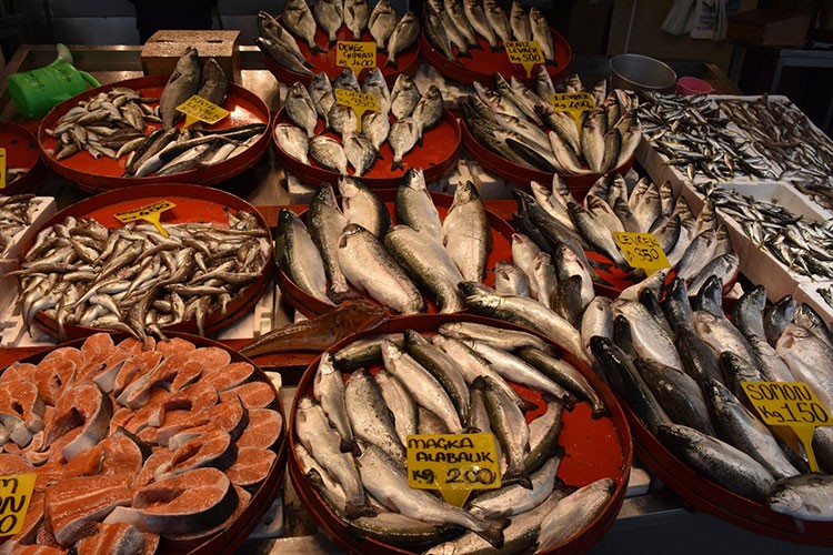 Trabzon'da tezgahları istavrit ve mezgit süslüyor