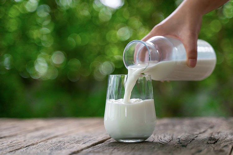 Toplanan inek sütü miktarı mayısta 999,3 ton oldu