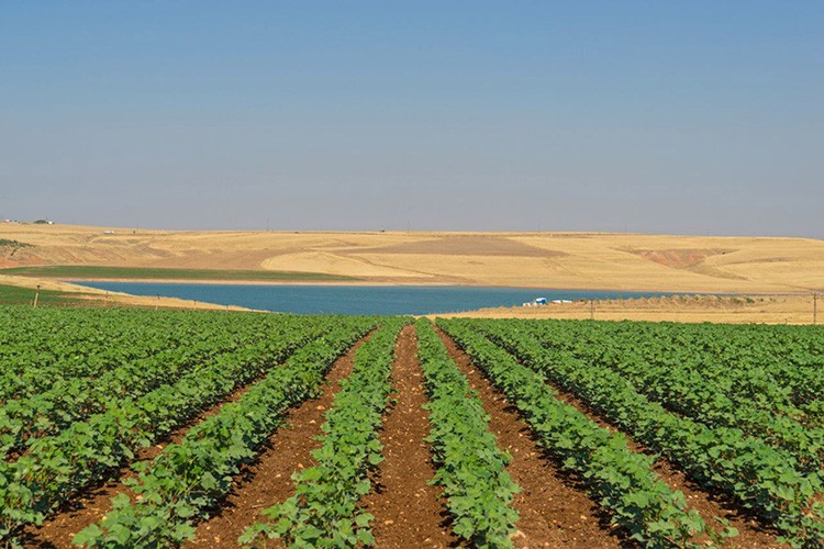 Dijital ortamda kiralanabilecek