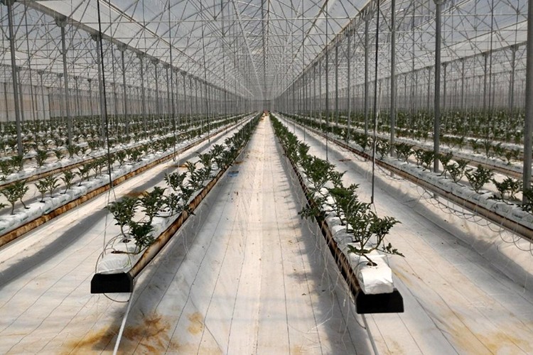 Kırsal yatırıma hibe desteği