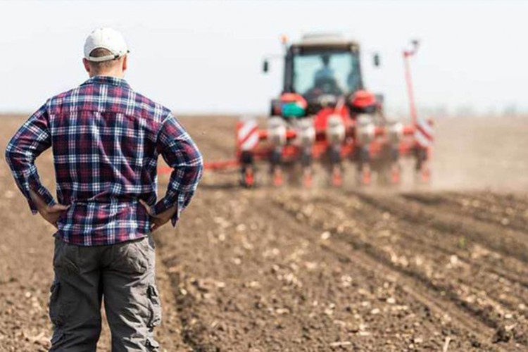 Tarımsal girdi fiyatları aylık yüzde 2,38 arttı