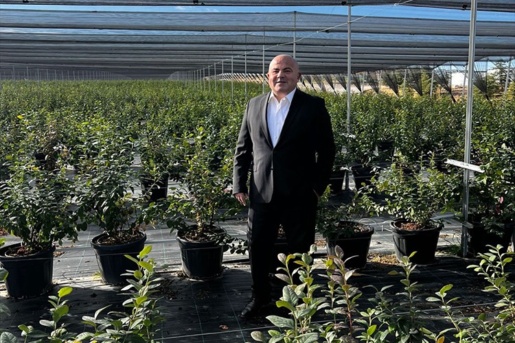 Atıklardan elde edilen enerji Ankara'da "yaban mersini" yetişmesini sağladı