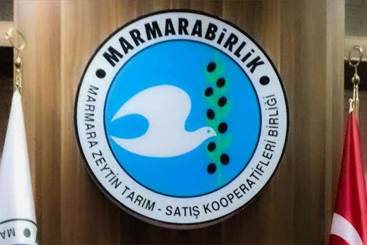 Bir kilogram zeytinin maliyeti 34,2 lira