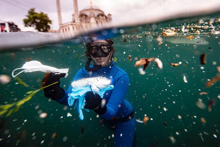 Şahika Ercümen'den acil yardım çağrısı