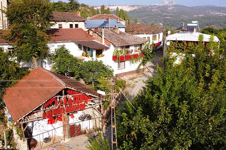 Kurutma mevsiminde kıpkırmızı oldu