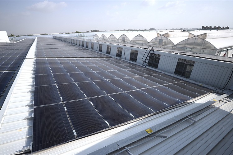 Fide tesisindeki GES, enerji giderini yüzde 60 azalttı