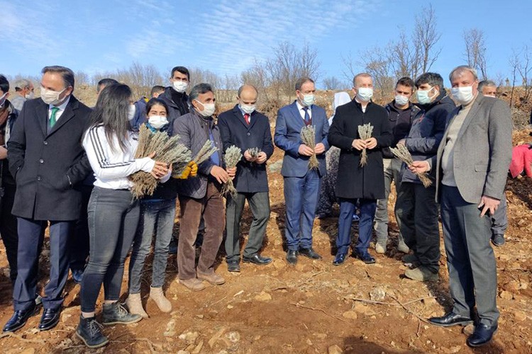 Kadın istihdamına destek