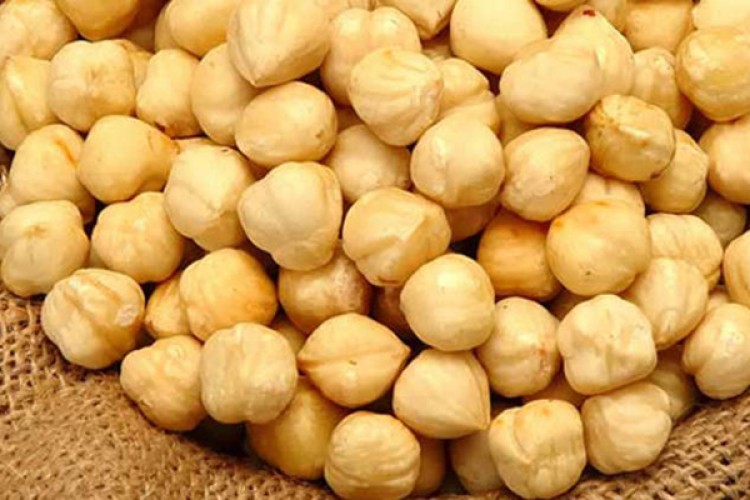 Fındıkta alternatif pazar...