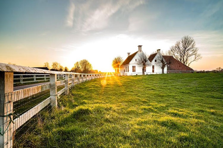 Çiftliklerin Suyu, Yaşamsal Tehdit Oluşturabiliyor
