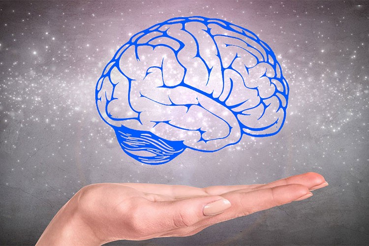 Beyin cinsiyete göre değil, deneyime göre gelişiyor