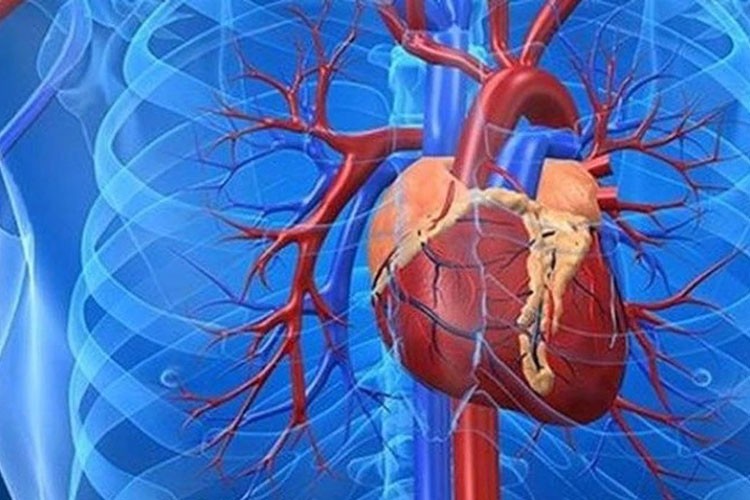 Aort yırtılmasında erken tanı hayat kurtarıyor