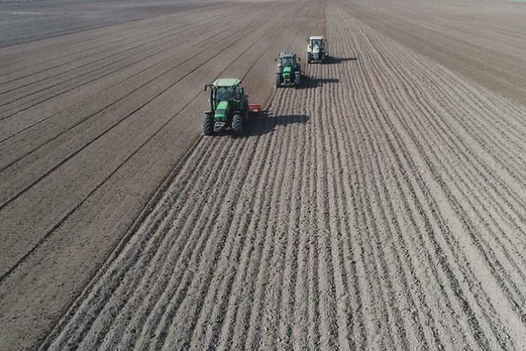 700 bin metrekare arazi ekonomiye kazandırılıyor