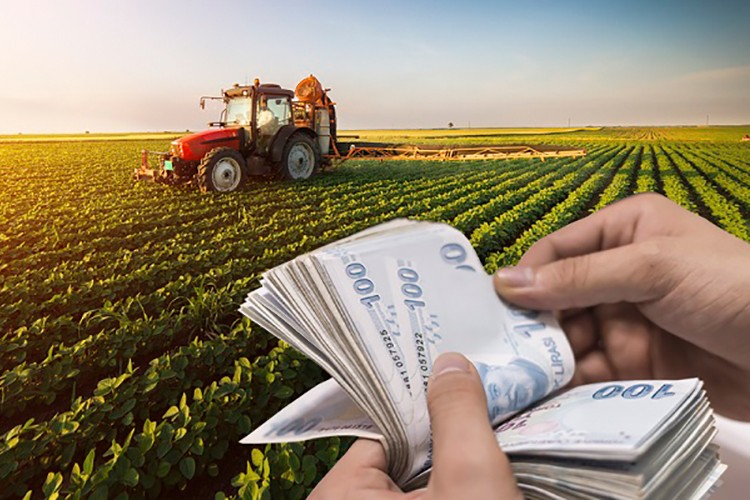 Tarım ÜFE, ocakta aylık yüzde 11,08 arttı