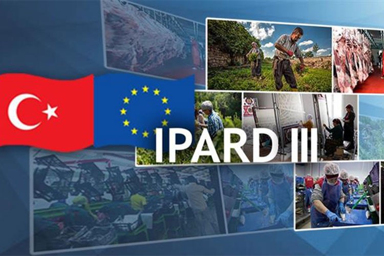 38 projeye 397 milyon lira hibe sağlanacak