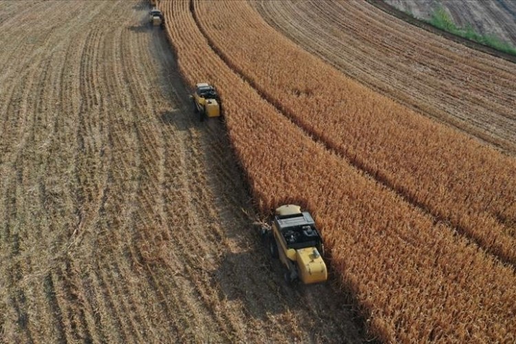 Bu yıl 144 bin lira oldu