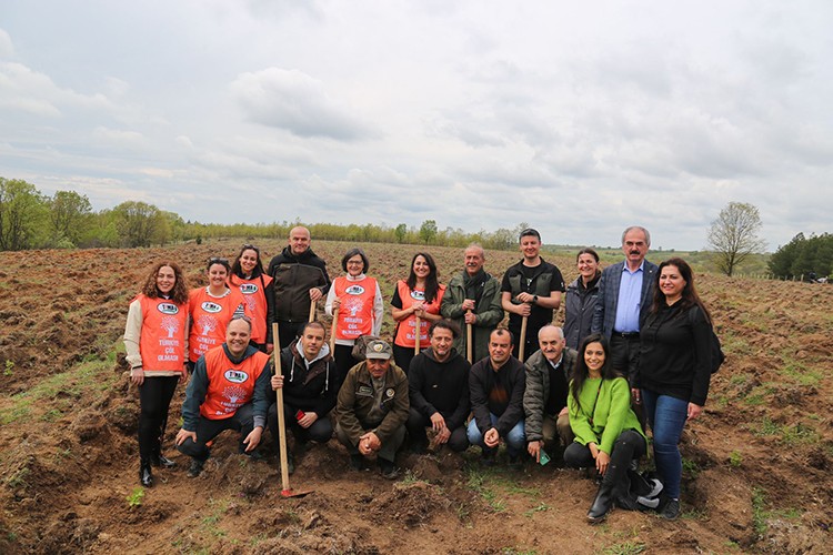 30'uncu yıla özel 7 bölgede 7 orman