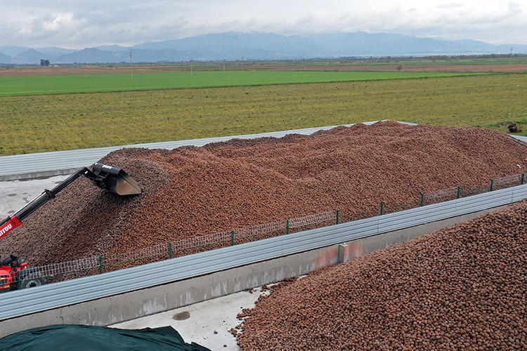 Fıstık ihracatından 30 milyon dolar