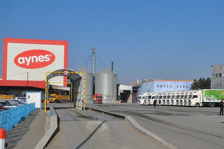 TMSF, Aynes Gıda'yı satışa çıkardı