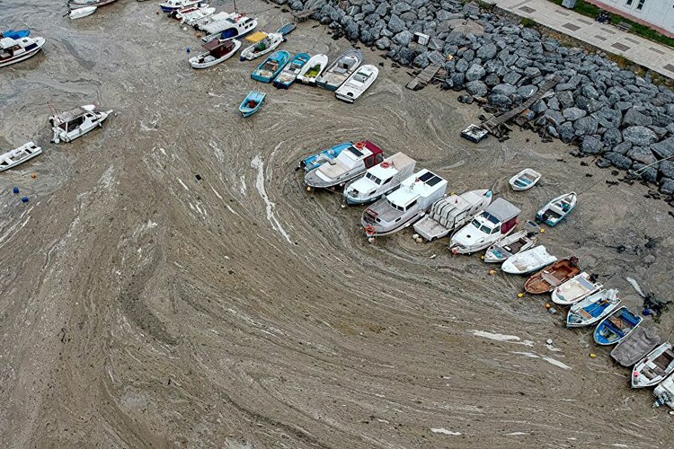 Balıkçılara ne kadar müsilaj desteği verilecek