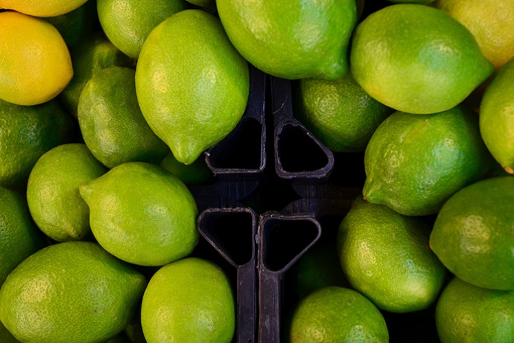 Turunçgilde sezon limon hasadıyla başlıyor