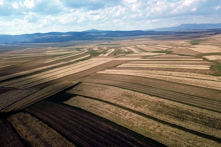 Kars'ta işlenmeyen tarım arazileri çiftçilere kiralanacak
