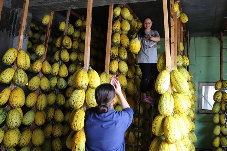 Kırkağaç kavunu "kış sofraları" için depolara kaldırılıyor