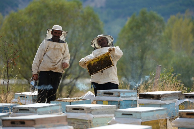 Gurbetçiler aracılığıyla 3 ülkeye bal gönderiyorlar