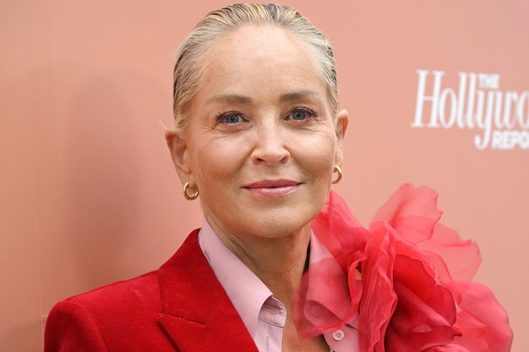 Sharon Stone, Türkiye'ye geliyor