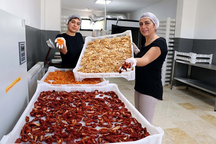 Girişimci kız kardeşler tesis kurdu