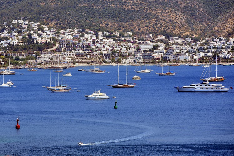 Koy zengini Türkiye