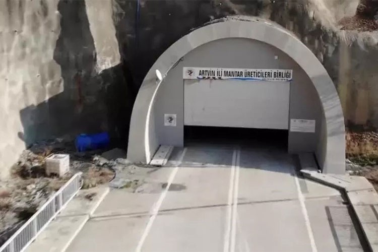 Oruçlu Tüneli'nde mantar üretimi başladı