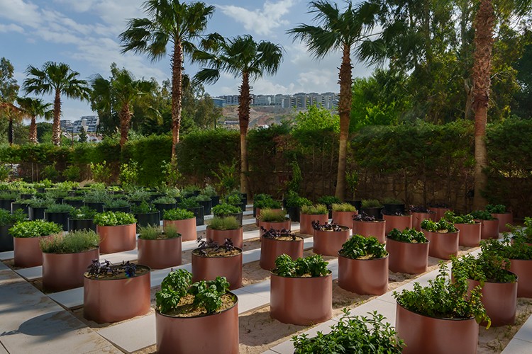 Liberty Hospitality Group, karbon salınımını yüzde 10 azaltmayı hedefliyor