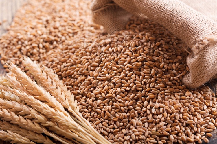 Hububat ihracatı 7 ayda 6,9 milyar dolara ulaştı