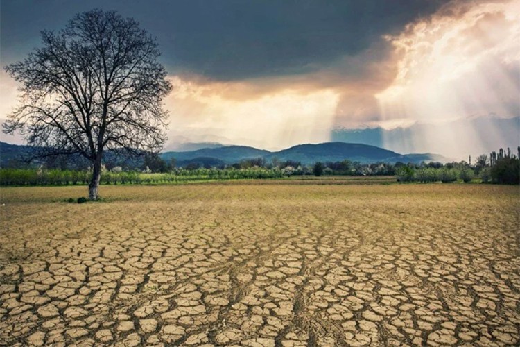 "Gıda üretimini tehdit eden en büyük sorun kuraklık"