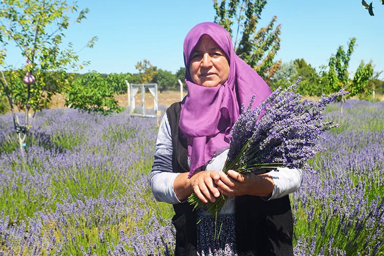 Kıraç araziyi lavantayla geçim kaynağına dönüştürdü