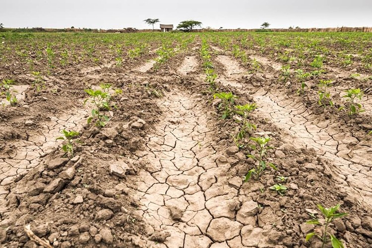 İklim değişikliği şehirlerin "Sıfır Günü Kuraklığı" riskini artırıyor