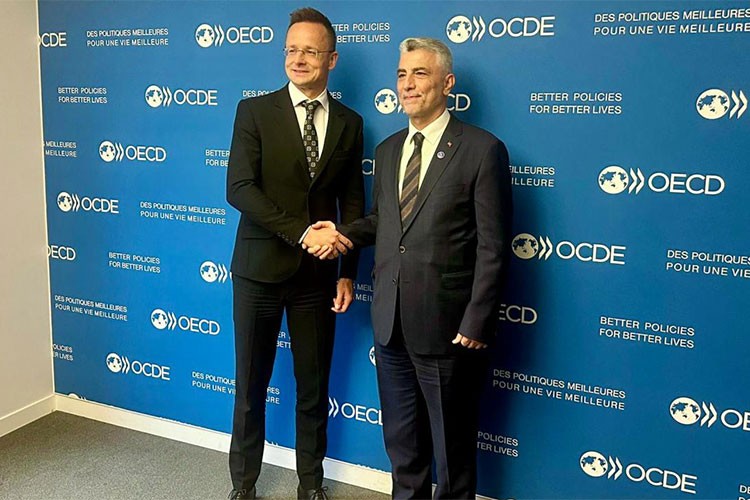 "Gümrük Birliği'nin güncellenmesinde Macaristan'dan destek istedik"