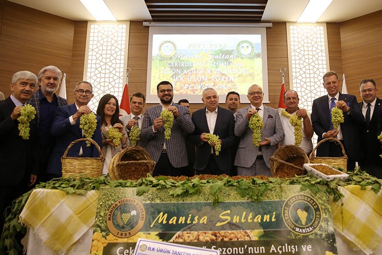 Manisa çekirdeksiz kuru üzüm alımı başladı