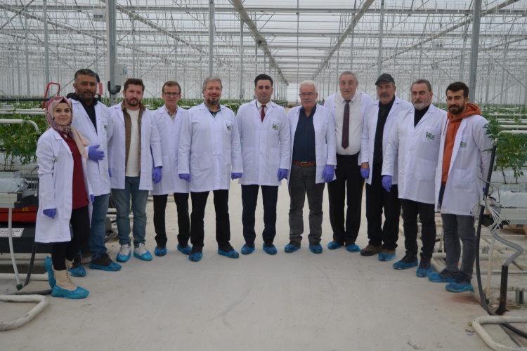 Konya jeotermal topraksız tarımın üssü oluyor