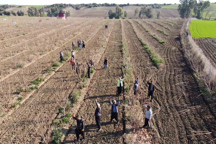 Nasırlar tarihe karıştı