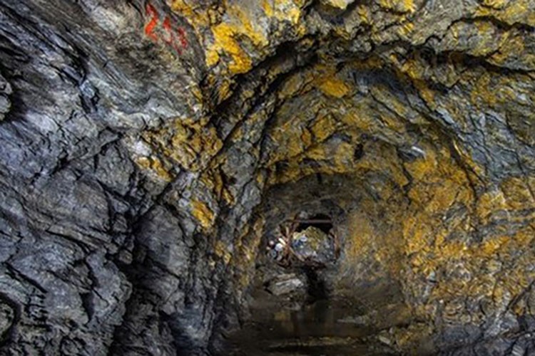 Türk şirketi maden şirketini satın aldı