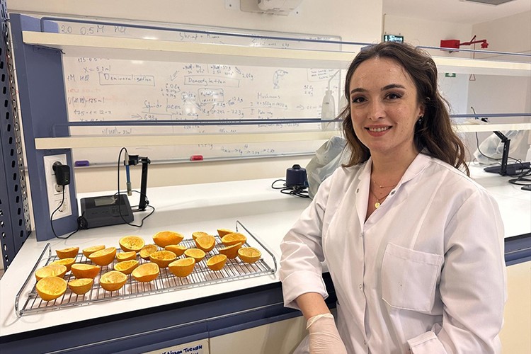 Portakal kabuğundan yapılan ambalaj patent aldı